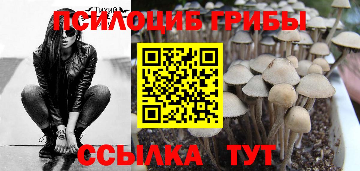 Галлюциногенные грибы мицелий  Вход с VPN  Гусь-Хрустальный 